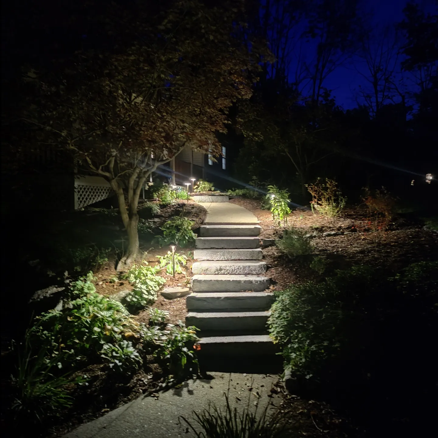 IMG_20221025_145225_807 A garden with steps and lights at night.
